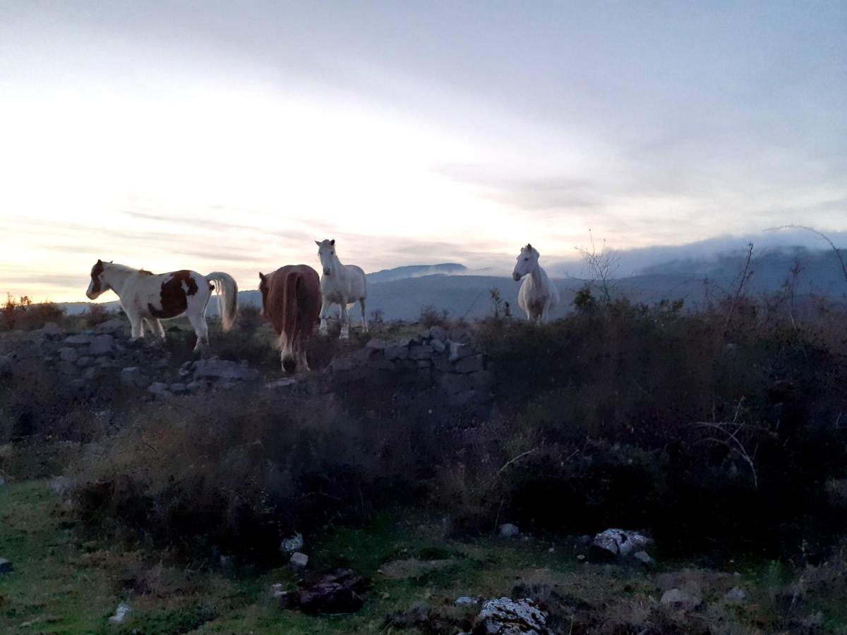 Casasdetrevijano Mirador De Mateo Vila Soto en Cameros Exterior foto